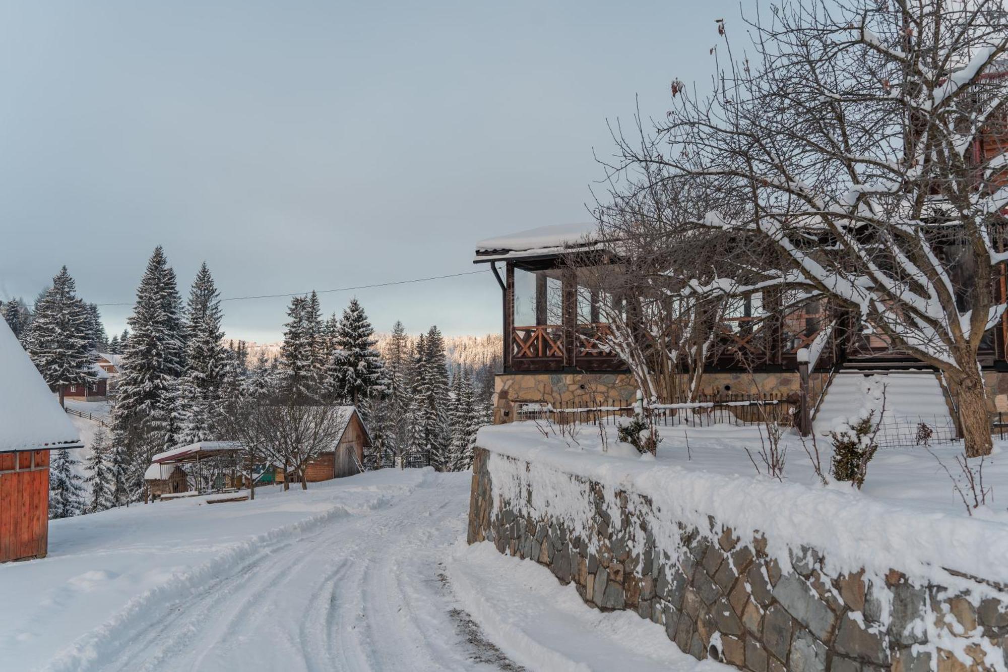 Hotel Гостьовий Дім "У Ані" à Yablunytsya Extérieur photo